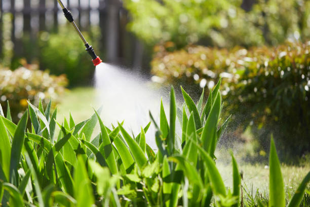 24/7 Emergency Fumigation Services experts in Dandridge, TN