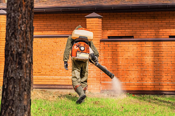 Trusted Cockroach Control service in Dandridge, TN - Nex Pest Control